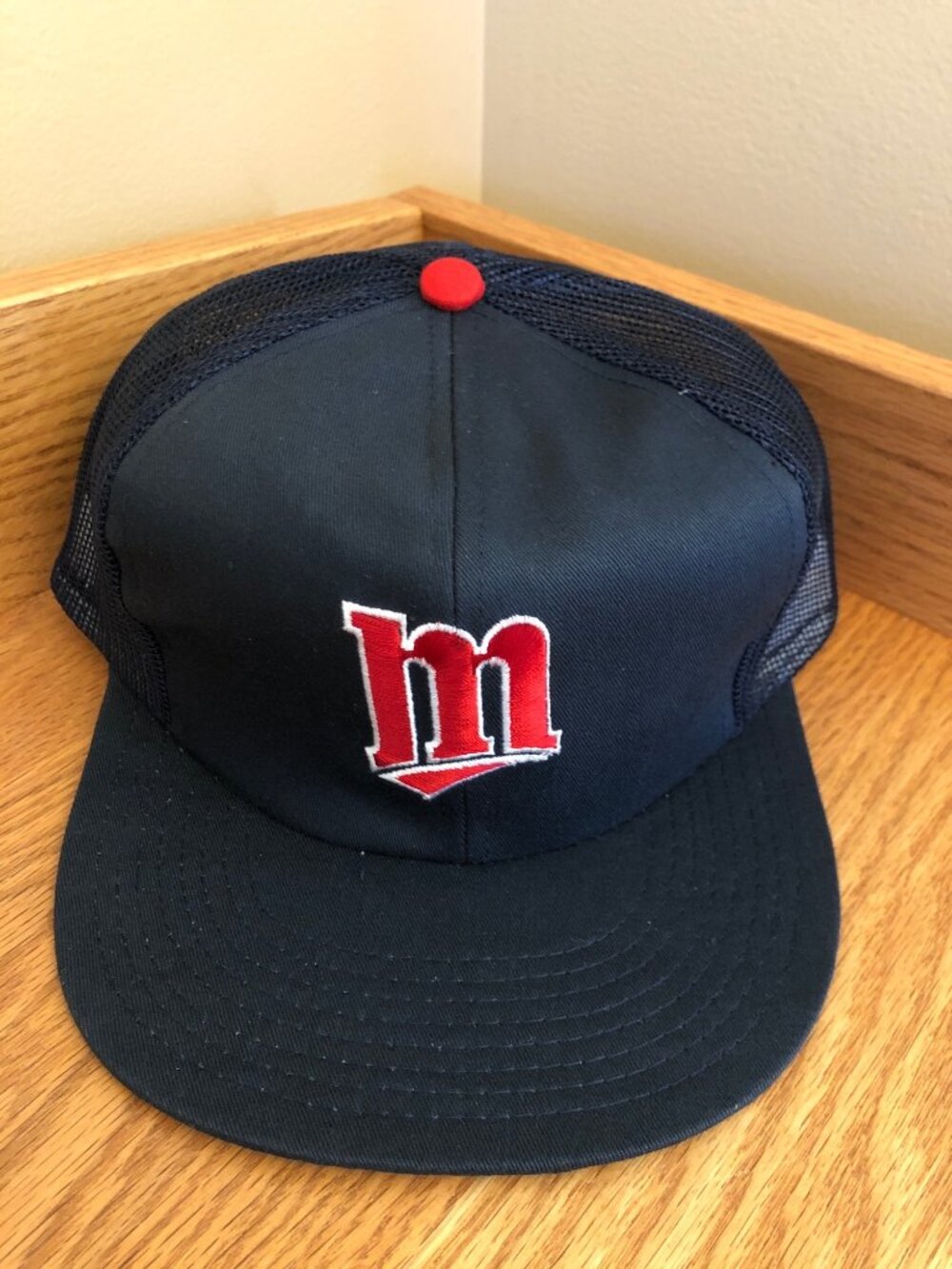 NWT NOS Vintage MINNESOTA TWINS Mesh Snapback Hat Twins Enterprise
